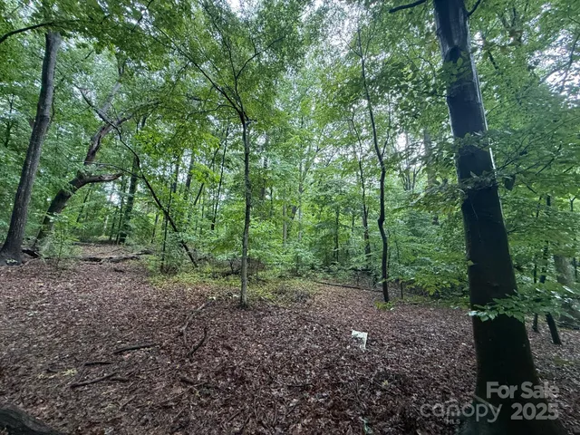 $1,150,200 | 3117 Shirley Drive, Charlotte, NC 28214