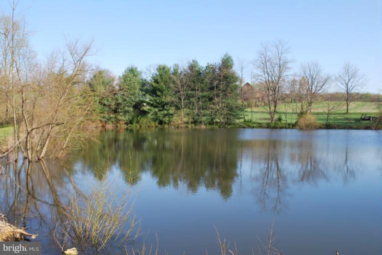 7300 Talbot Run Road Mount Airy, MD 21771 - Photo 11 of 30 Exterior (General)