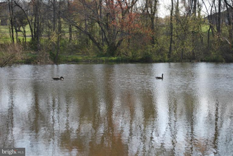 7300 Talbot Run Road Mount Airy, MD 21771 - Photo 16 of 30 Exterior (General)