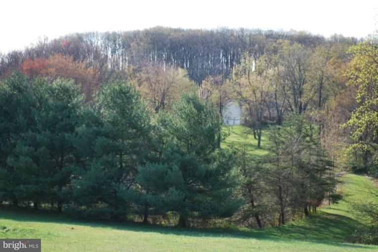 7300 Talbot Run Road Mount Airy, MD 21771 - Photo 3 of 30 Exterior (General)