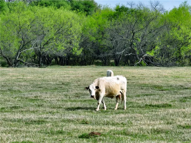 $2,462,025 | Tbd Jake Sparks Drive, Waco, TX 76705