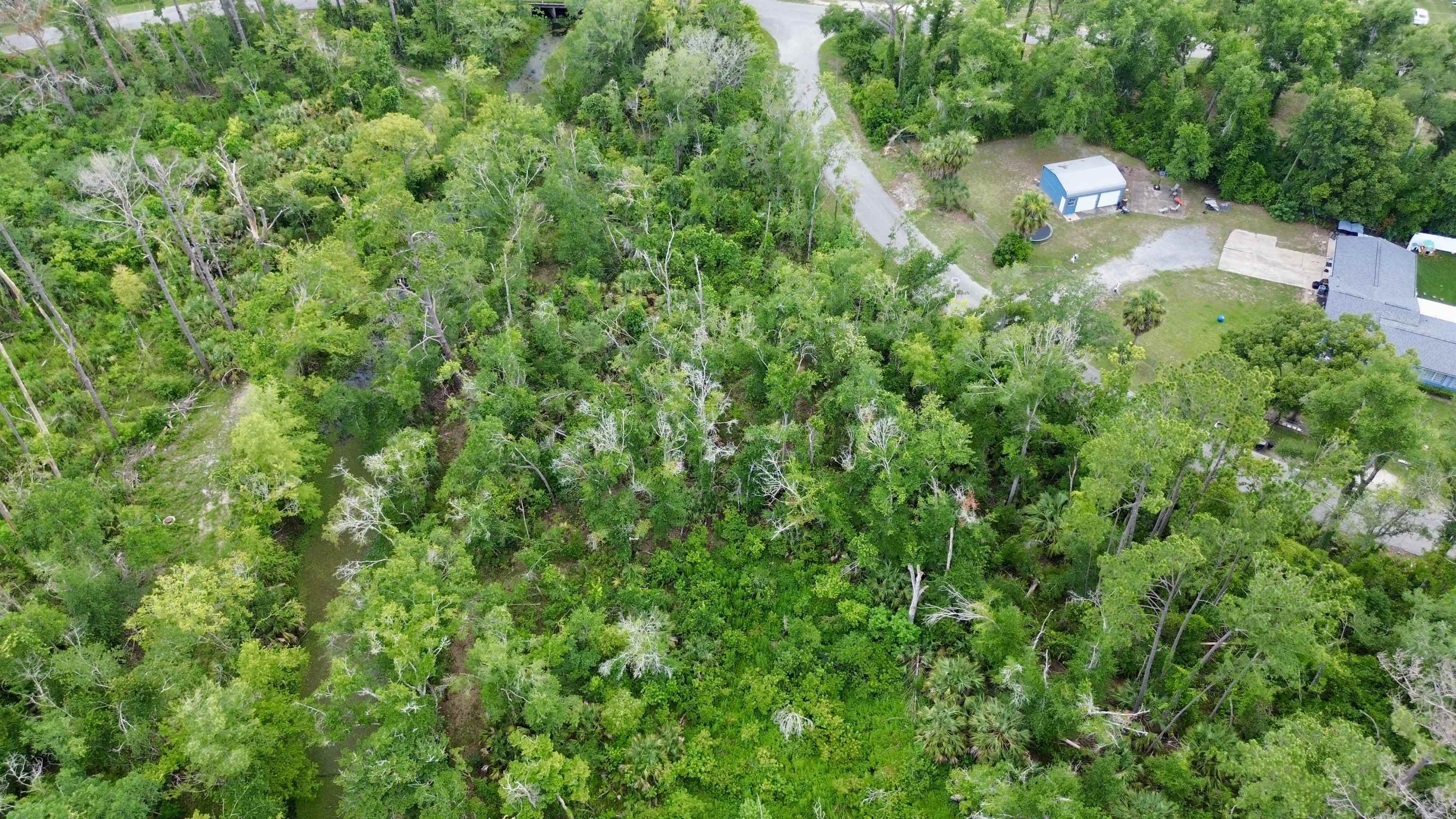 0 Cherry Street Perry, FL 32347 - Photo 7 of 8