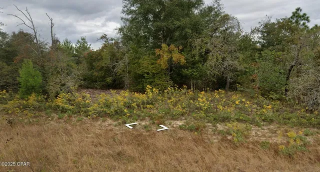 $10,000 | Lot 10 Pennington Drive, Chipley, FL 32428