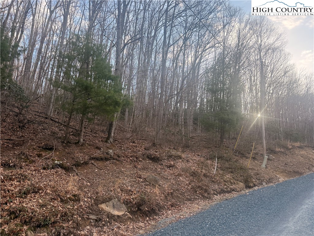 212 Jackpine Road Beech Mountain, NC 28604 - Photo 6 of 7