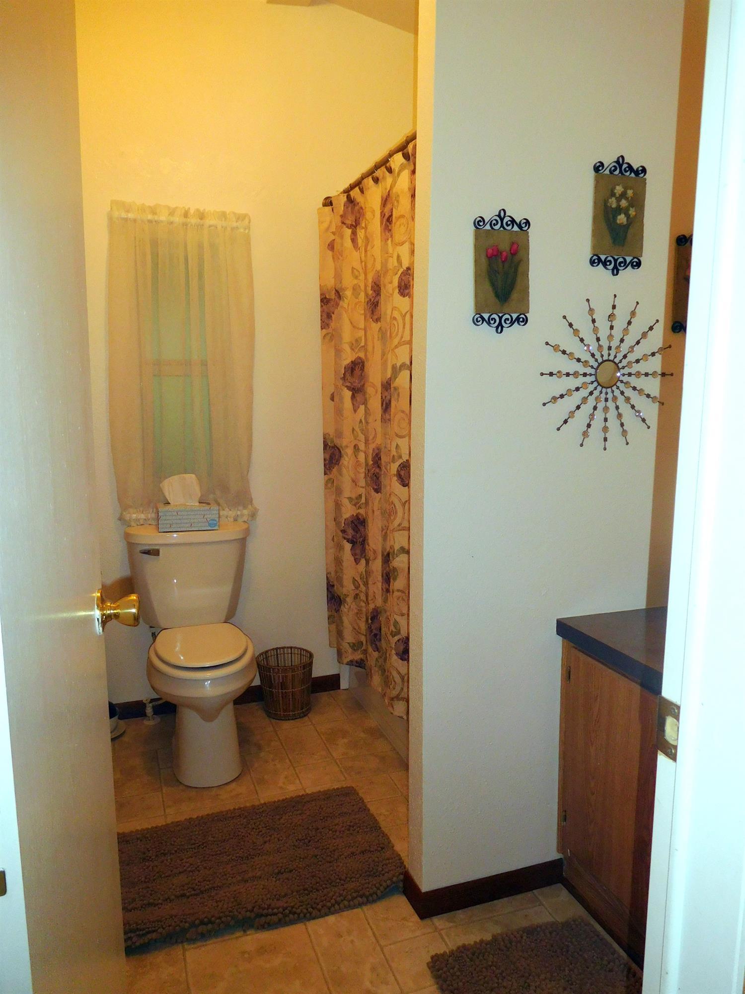 4933 Dick George Road Cave Junction, OR 97523 - Photo 17 of 22 Guest/Hall bath. Tub shower combination.
