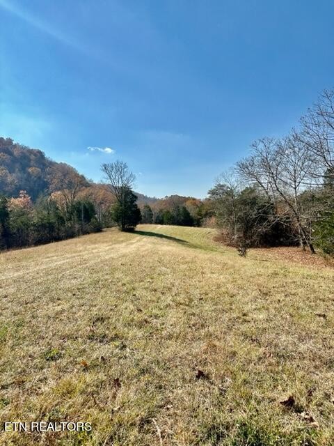 0 Fall Creek Road Maynardville, TN 37807 - Photo 20 of 21 Gallery Image 20
