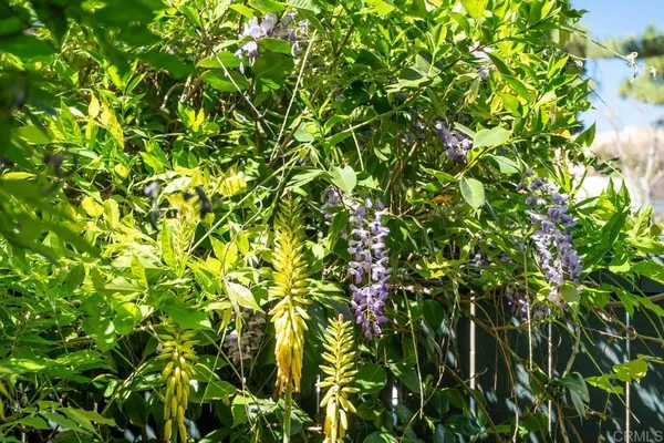 a bedroom with a bed large mirror and a potted plant