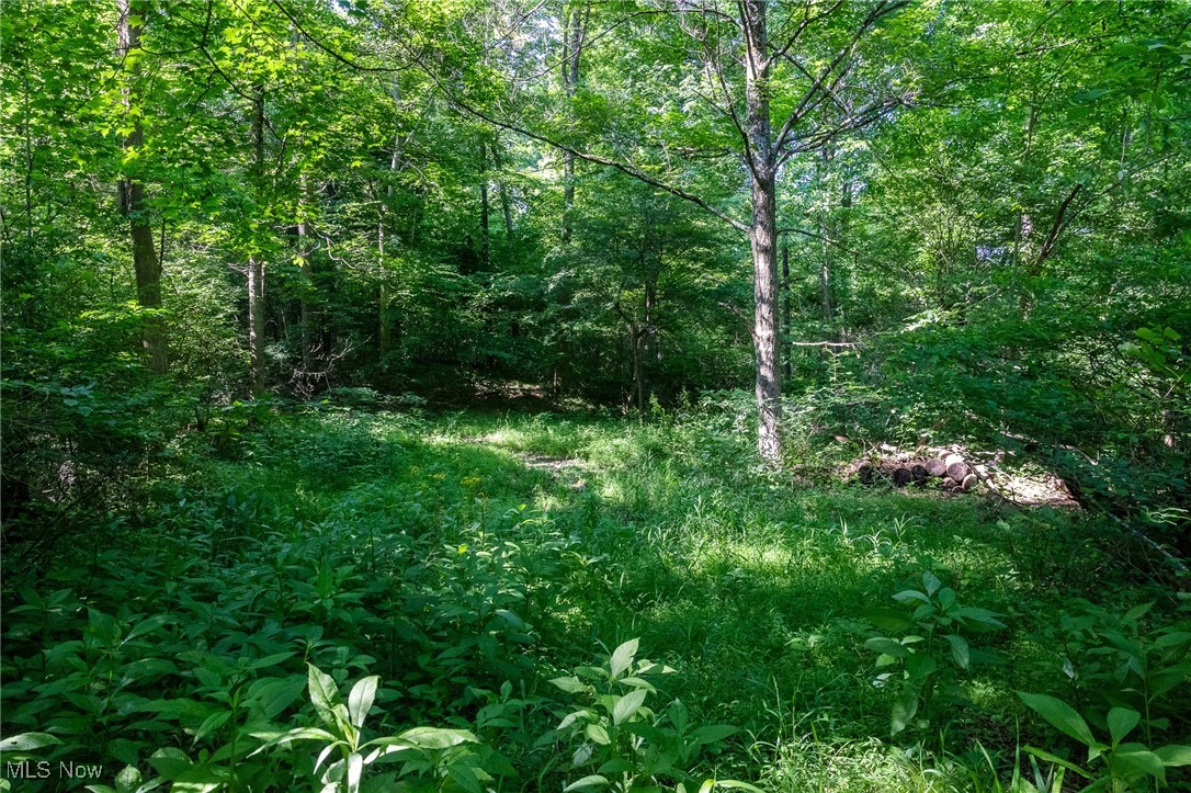 Azalea Road Dennison, OH 44621 - Photo 25 of 50 View of woods