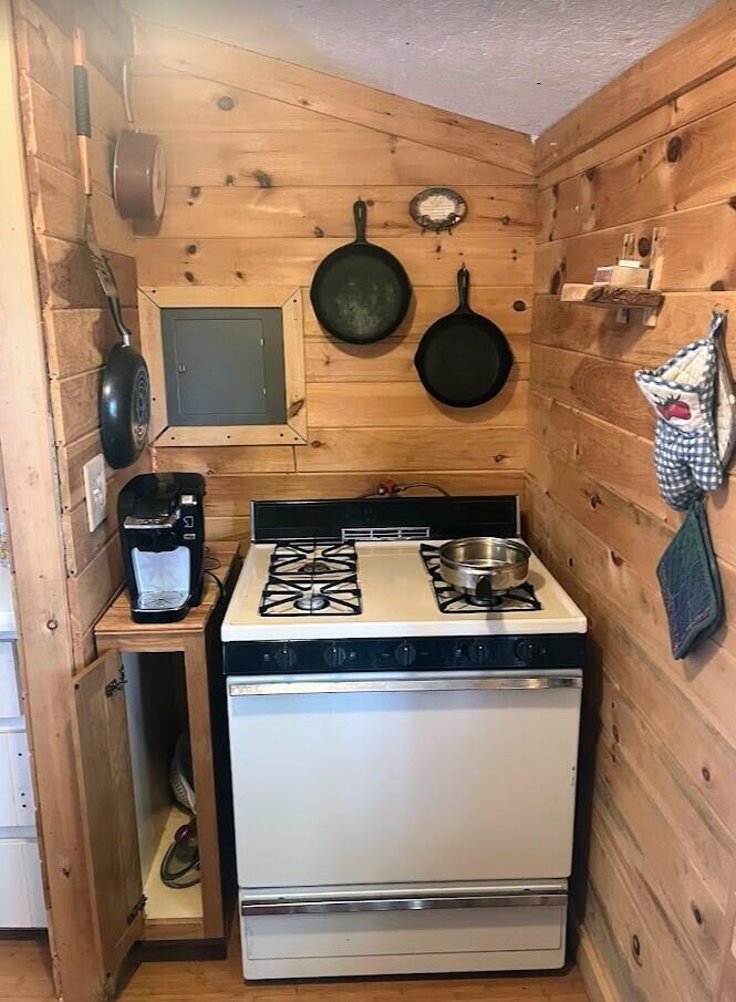 106 Cedar Lake Road Millinocket, ME 04462 - Photo 22 of 37 Kitchen Stove at 106 Cedar Lake Road