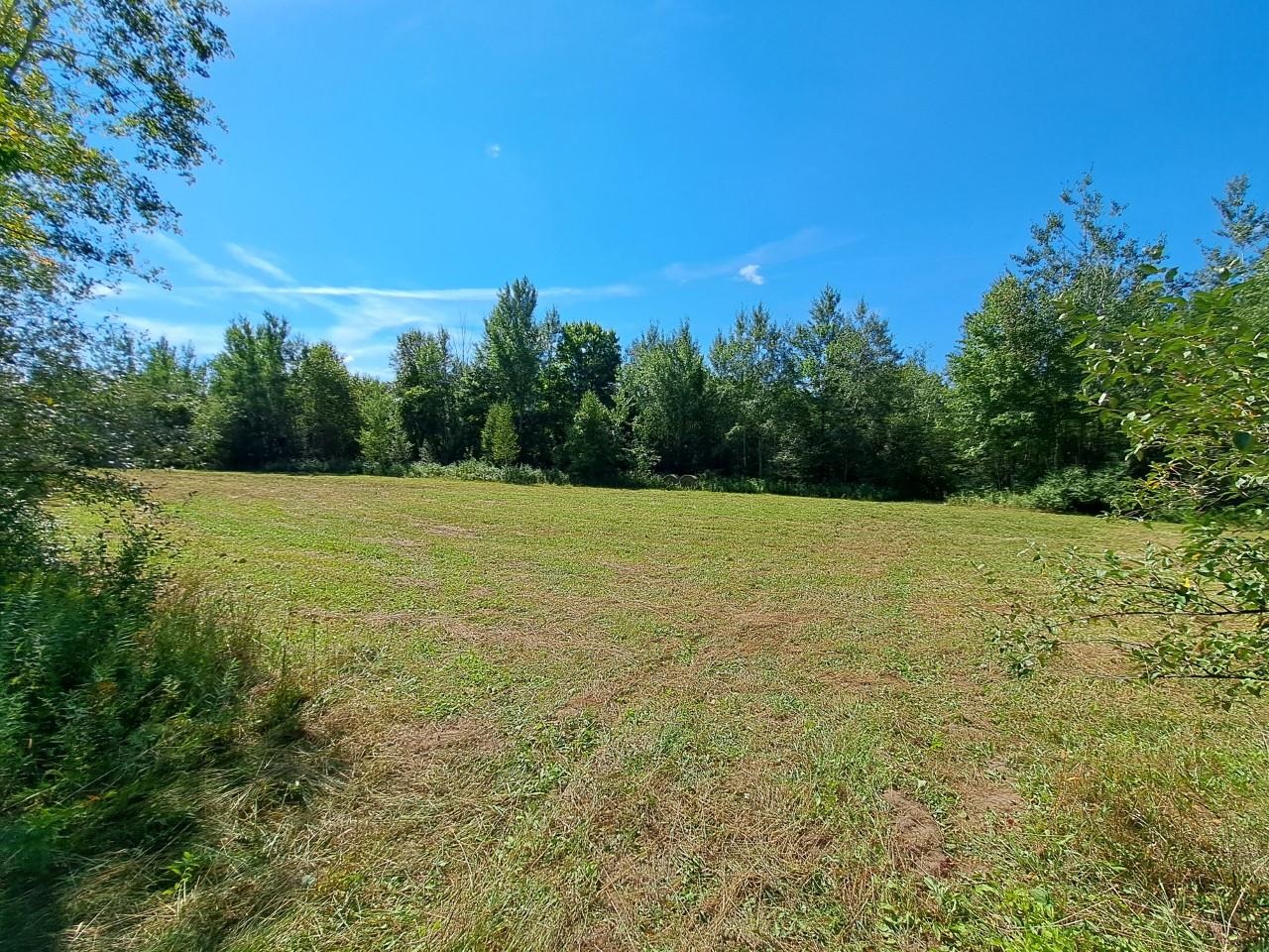 80-acres Surrey Road Clare, MI 48617 - Photo 1 of 8