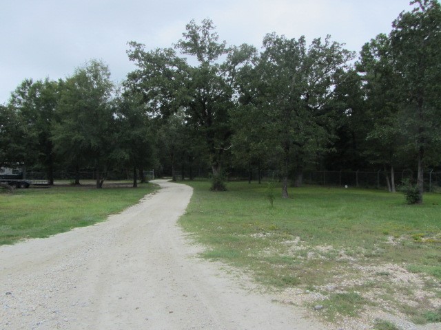 228 Farm To Market Road 3478 Huntsville, TX 77320 - Photo 24 of 28 a view of a backyard with green space