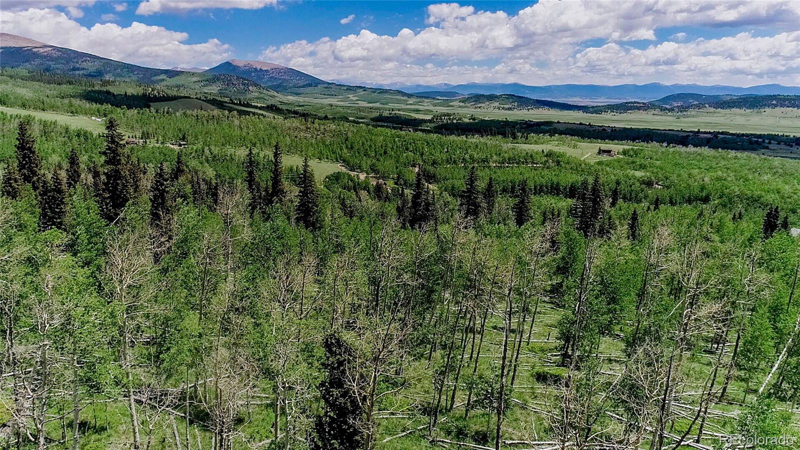 1047 Lumberjack Road Fairplay, CO 80440 - Photo 7 of 20