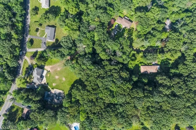 an aerial view of a house with a yard and large trees