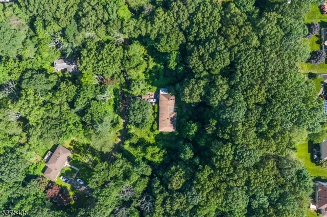 a backyard of a house with lots of green space and garden