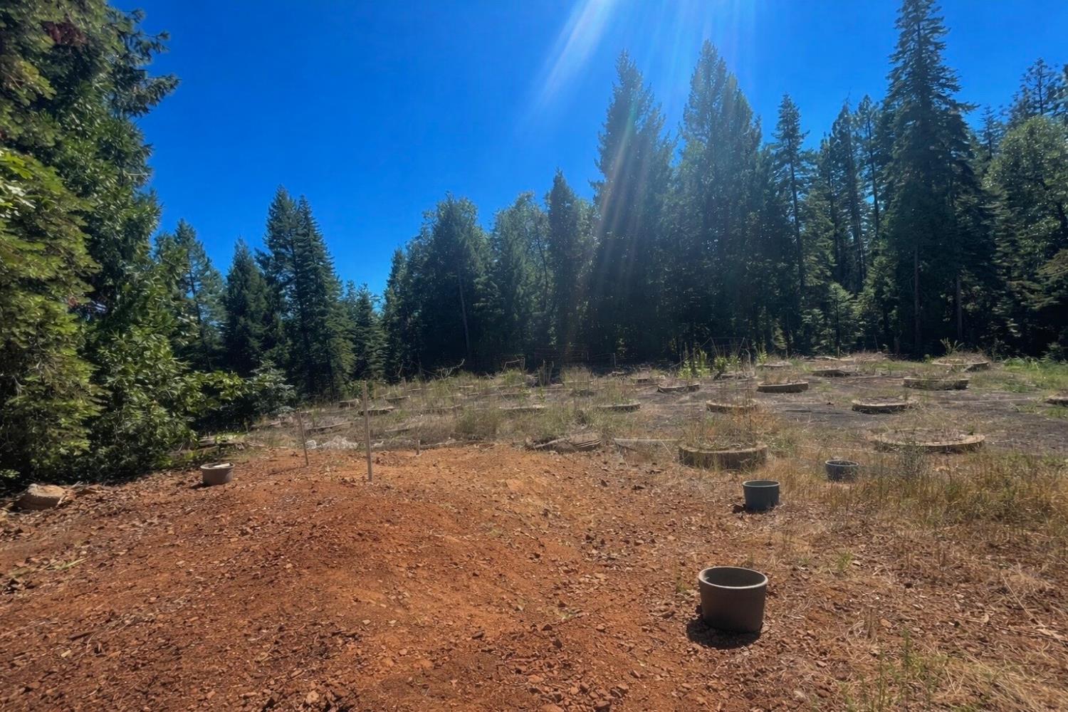 14666 Woolford Mill Road Nevada City, CA 95959 - Photo 1 of 2 a view of a backyard of a house
