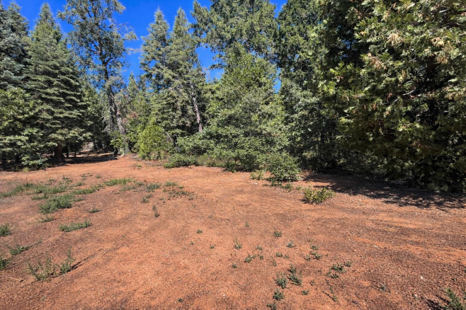 14666 Woolford Mill Road Nevada City, CA 95959 - Photo 2 of 2 a view of a yard with a tree