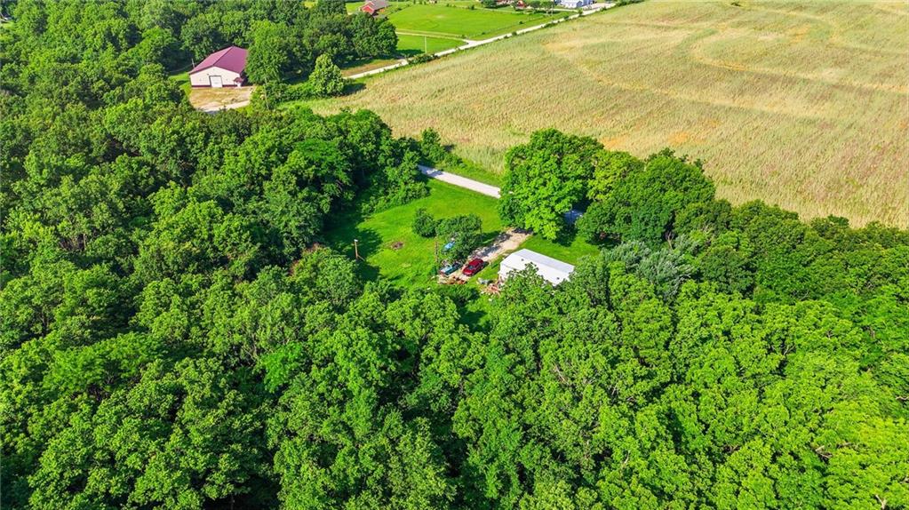 22207 South Excelsior Road Harrisonville, MO 64701 - Photo 33 of 38