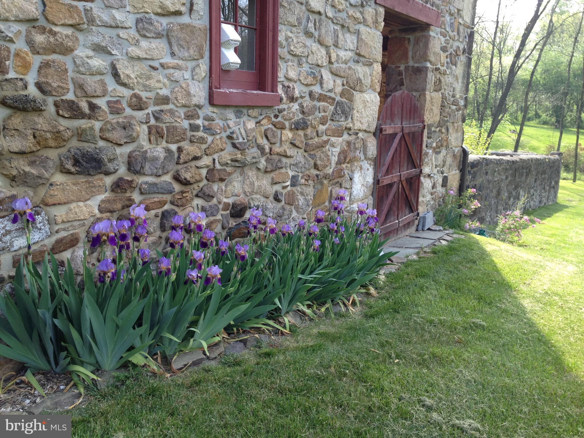 112 Sheeder Road Phoenixville, PA 19460 - Photo 37 of 40 Purple Irises in the Spring