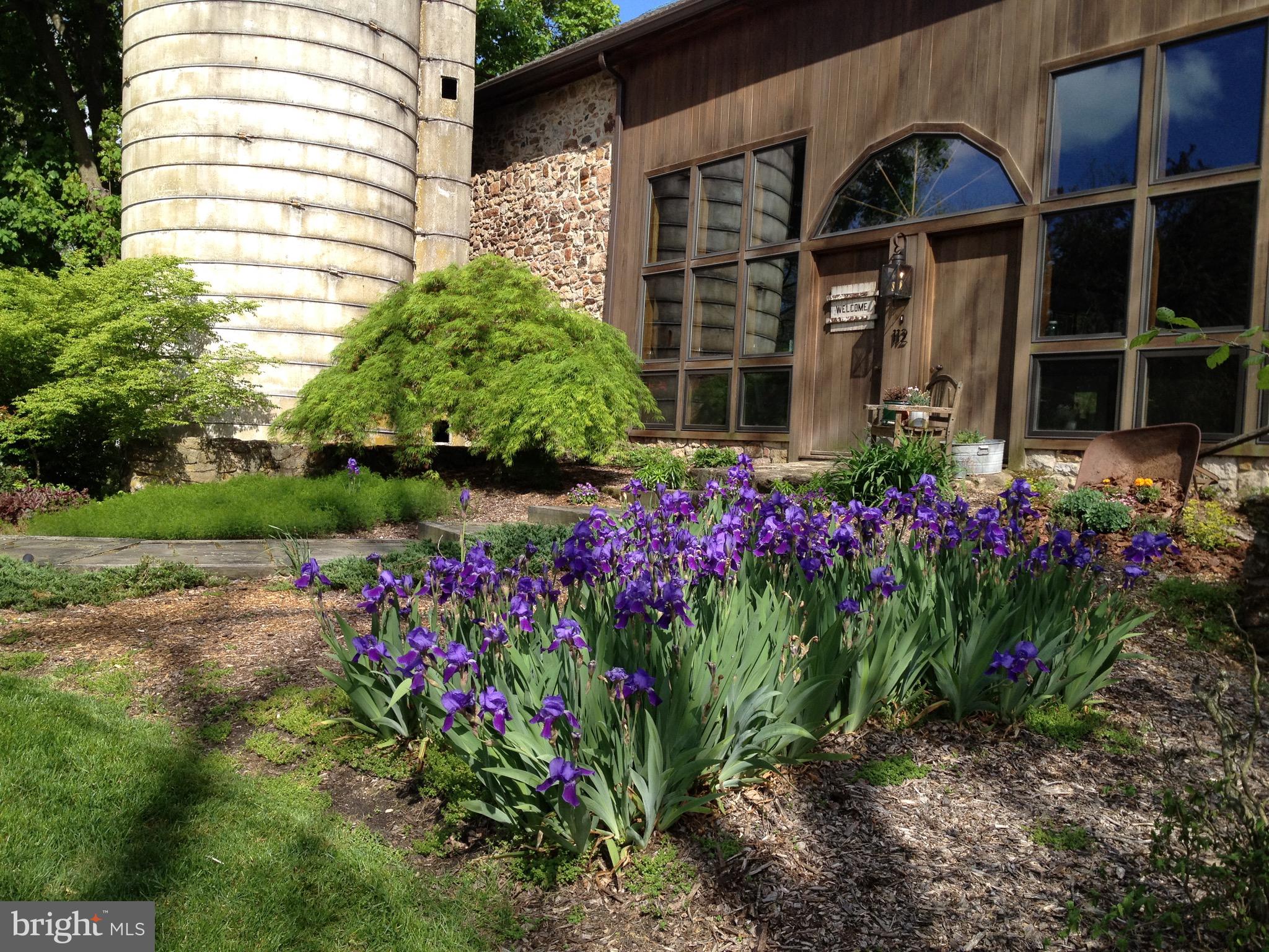 112 Sheeder Road Phoenixville, PA 19460 - Photo 39 of 40 Purple Irises in the Spring