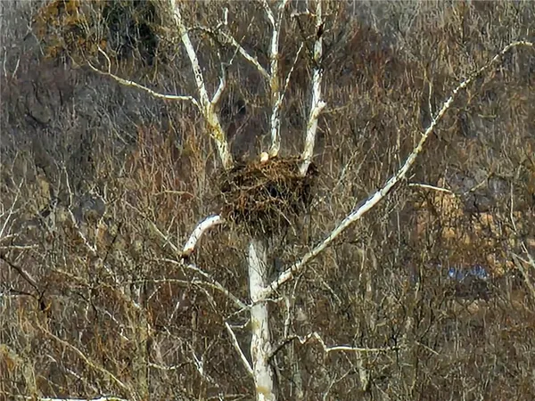 $599,900 | 22155 Eden Circle, Warsaw, MO 65355