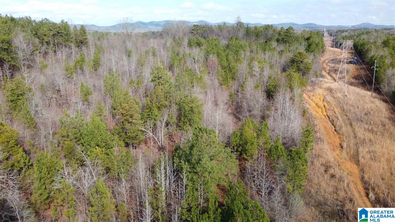 Landmark Road Talladega, AL 35160 - Photo 1 of 8