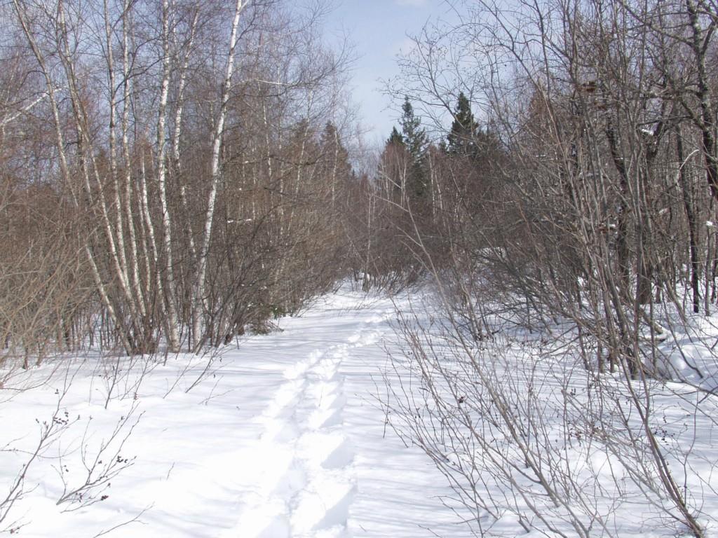 155 West Side Road Addison, ME 04606 - Photo 11 of 12 Photo
