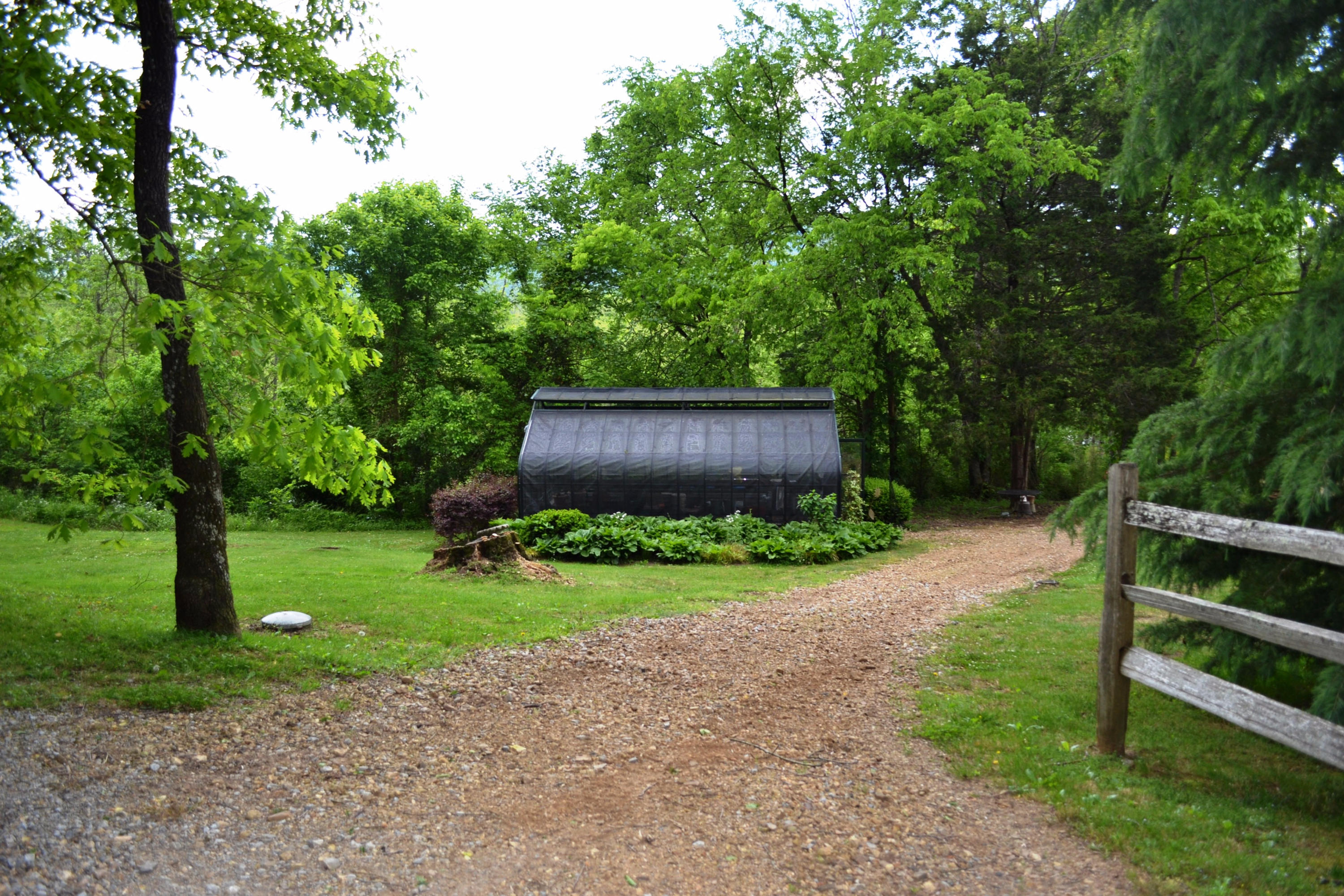 625 New England Road Wildwood, GA 30757 - Photo 35 of 59 Greenhouse