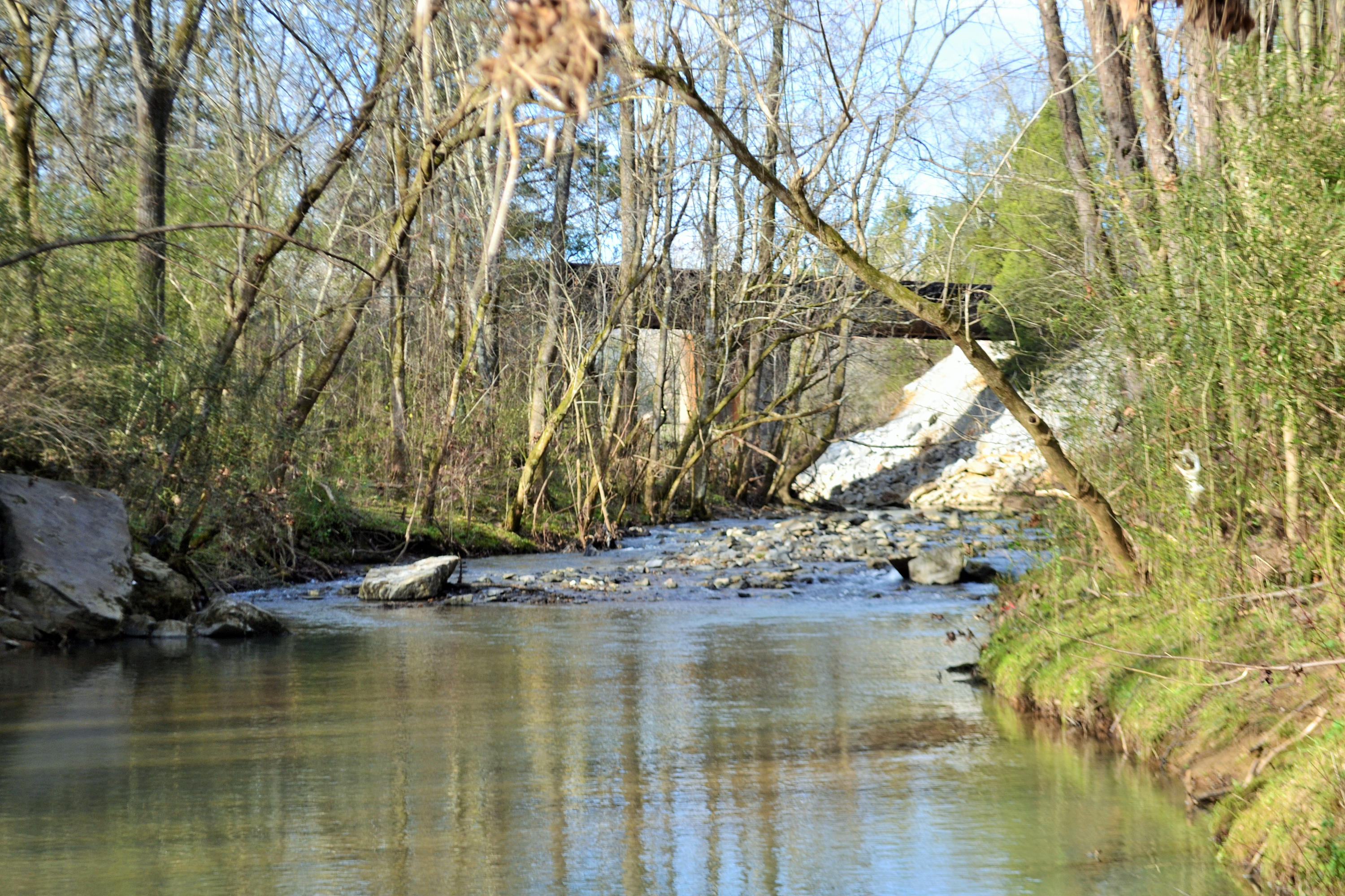 625 New England Road Wildwood, GA 30757 - Photo 52 of 59 DSC_1100 (2)