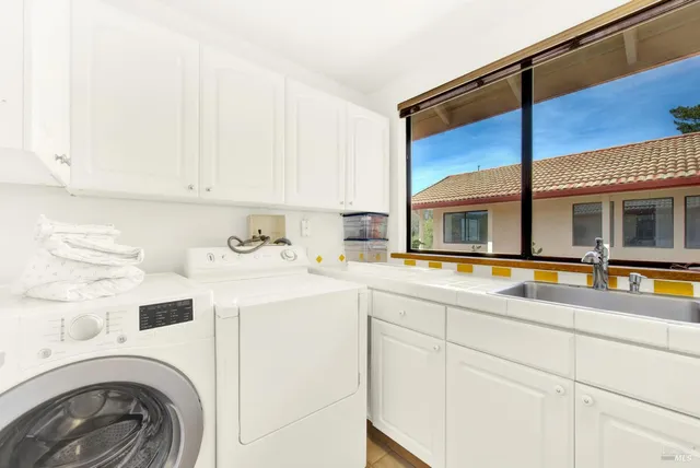 a view of a yard with plants and large trees