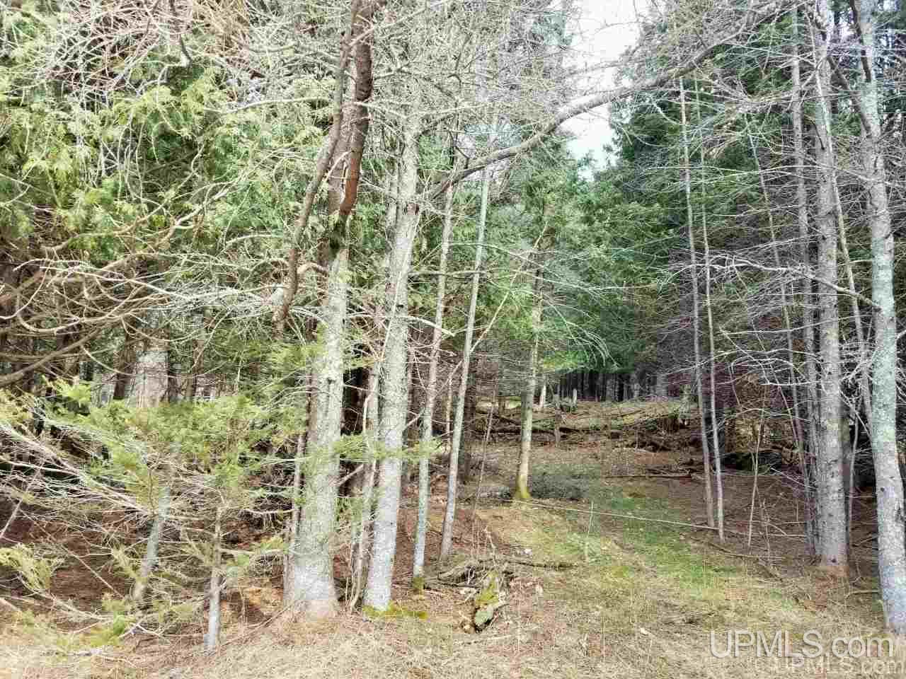 Tbd Stelzer Road Gulliver, MI 49840 - Photo 7 of 26