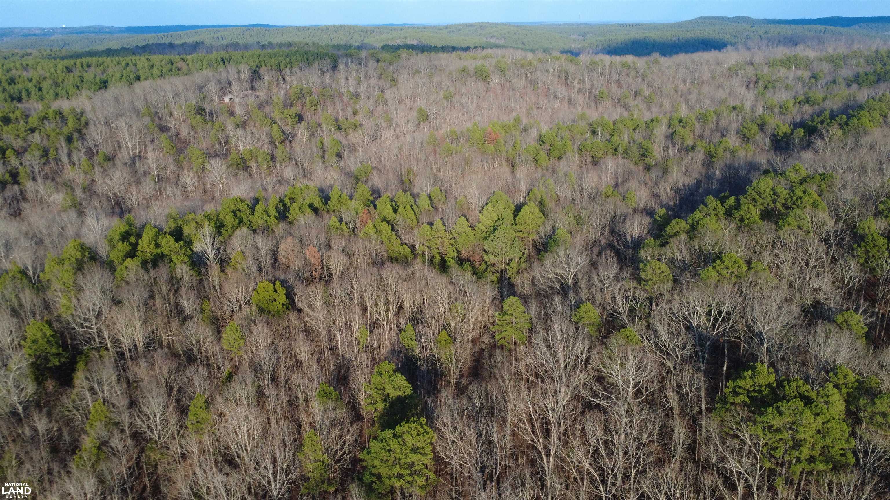 61 County Road 650 Walnut, MS 38683 - Photo 2 of 5