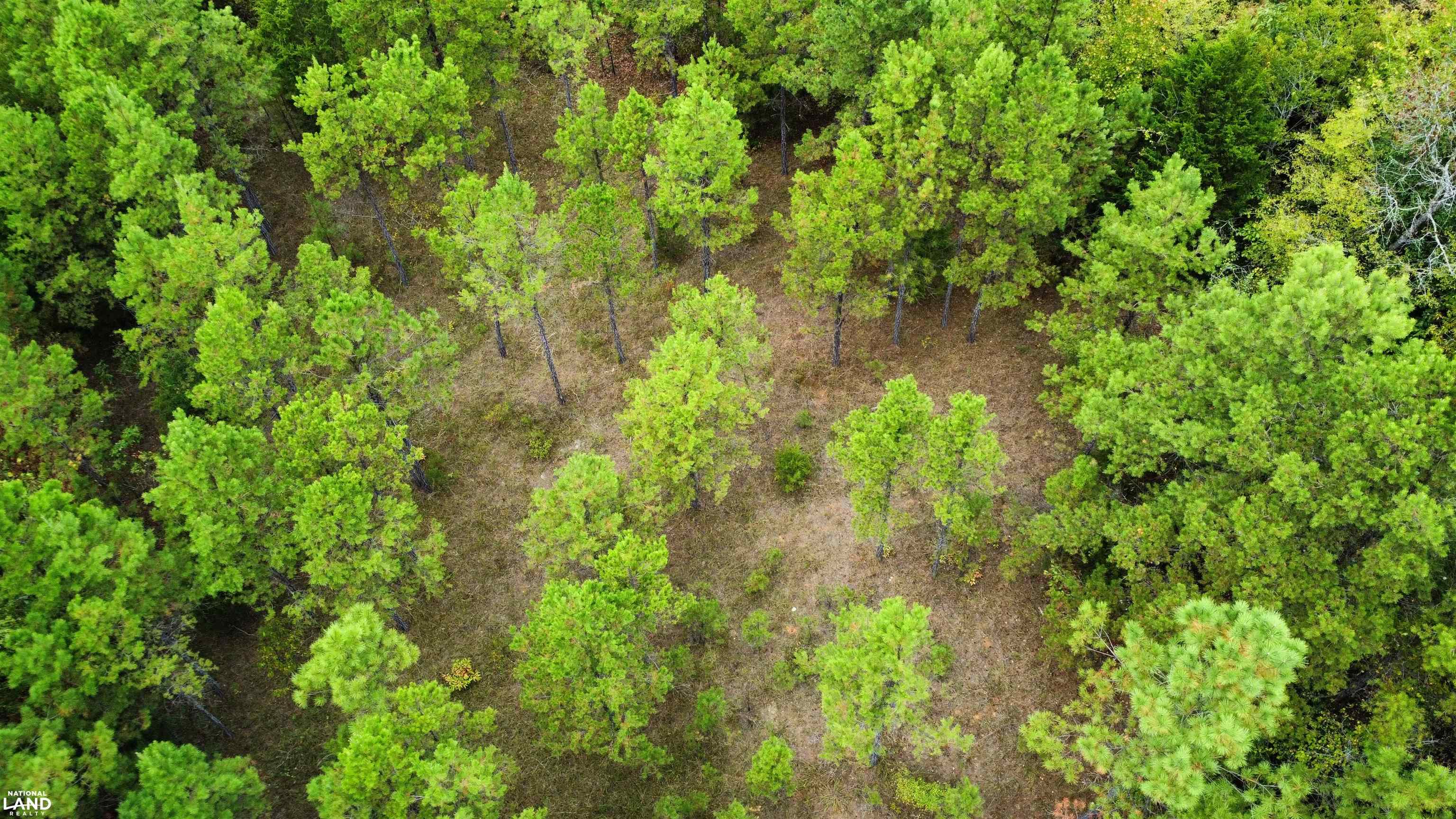 61 County Road 650 Walnut, MS 38683 - Photo 3 of 5