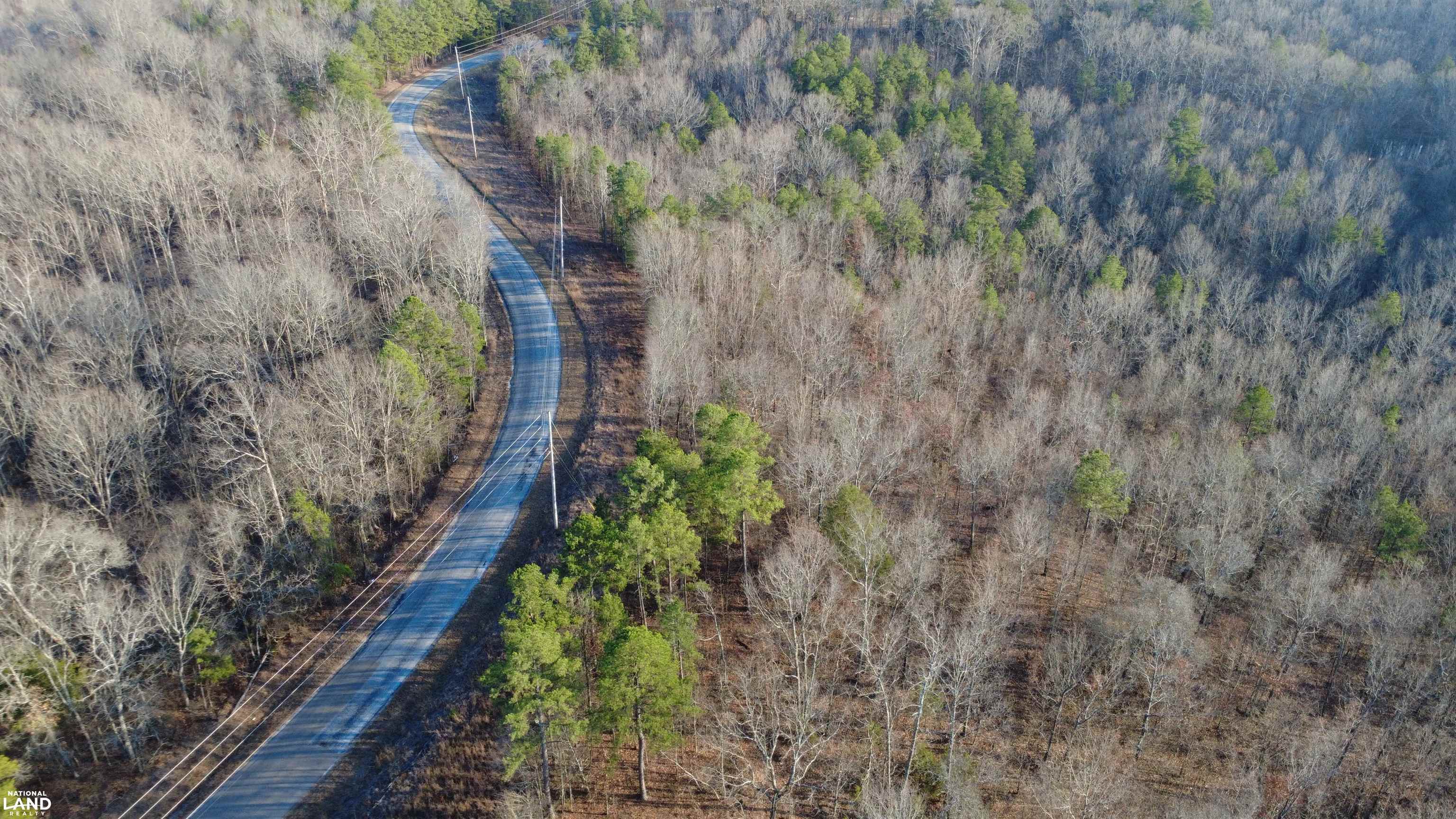 61 County Road 650 Walnut, MS 38683 - Photo 4 of 5