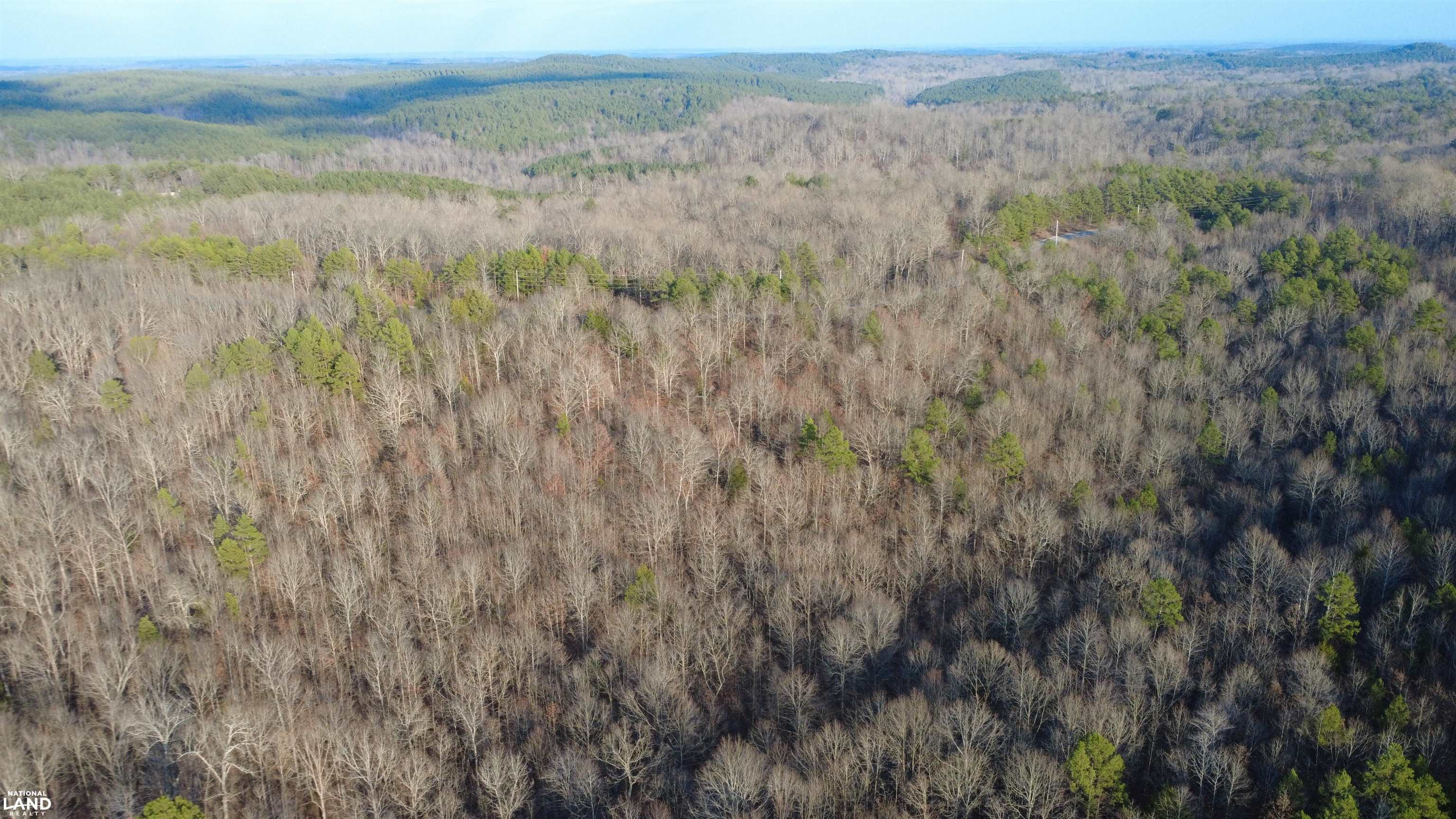 61 County Road 650 Walnut, MS 38683 - Photo 5 of 5