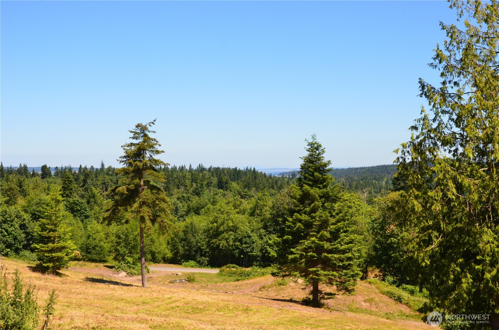 61 Kingfisher Place Port Hadlock, WA 98339 - Photo 2 of 9 a view of a yard