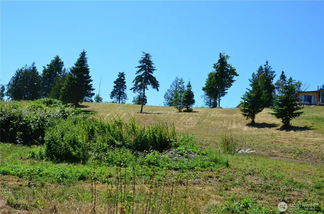 a view of a field with a tree in the background