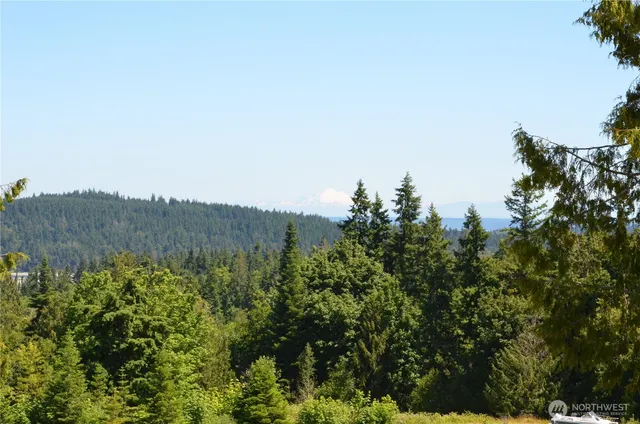 a view of a city with lush green forest