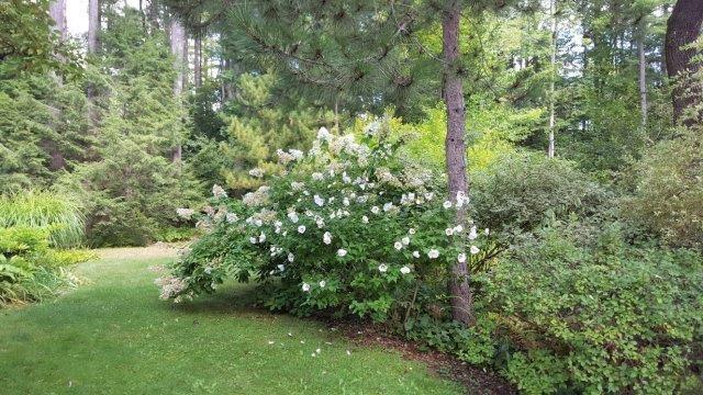 35 Rainbow Farm Road Yarmouth, ME 04096 - Photo 23 of 23 Photo