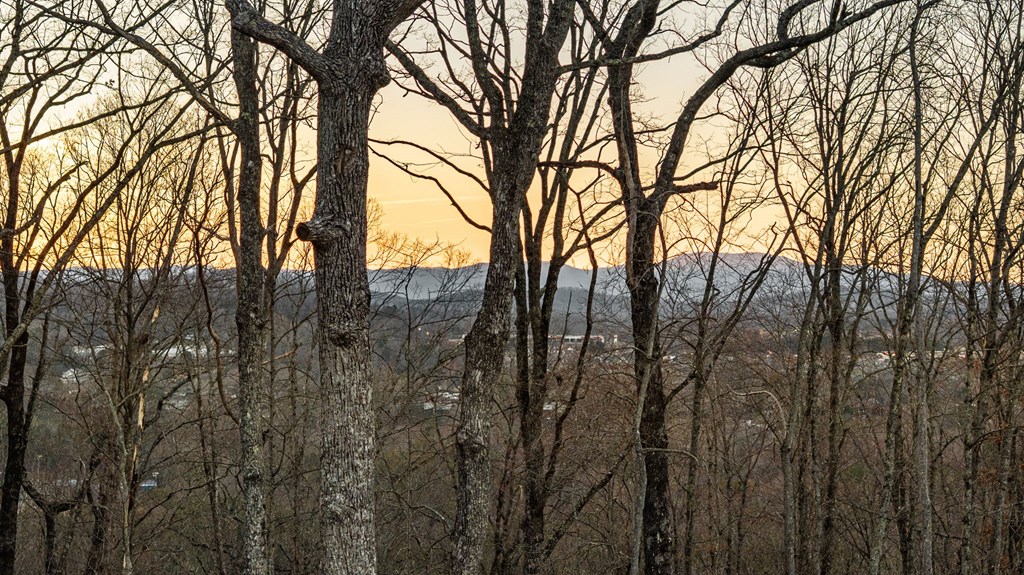 217 Eagles Nest Lane Blue Ridge, GA 30513 - Photo 65 of 91 Gallery Image 65