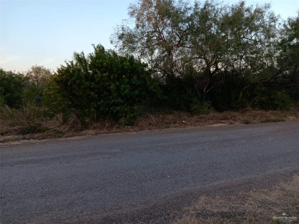 13702 Moises Flores Road Edcouch, TX 78538 - Photo 2 of 3 a view of a field with trees in background