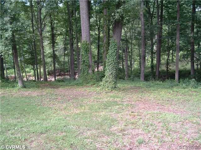 3608 Edinger Road North Chesterfield, VA 23234 - Photo 5 of 12 Exterior Back - BACK AREA LOT
