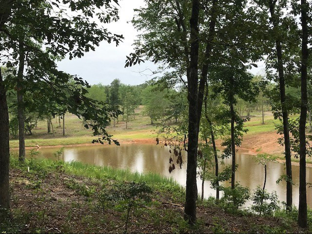 Parcel B Old Dibble Road Aiken, SC 29803 - Photo 16 of 17