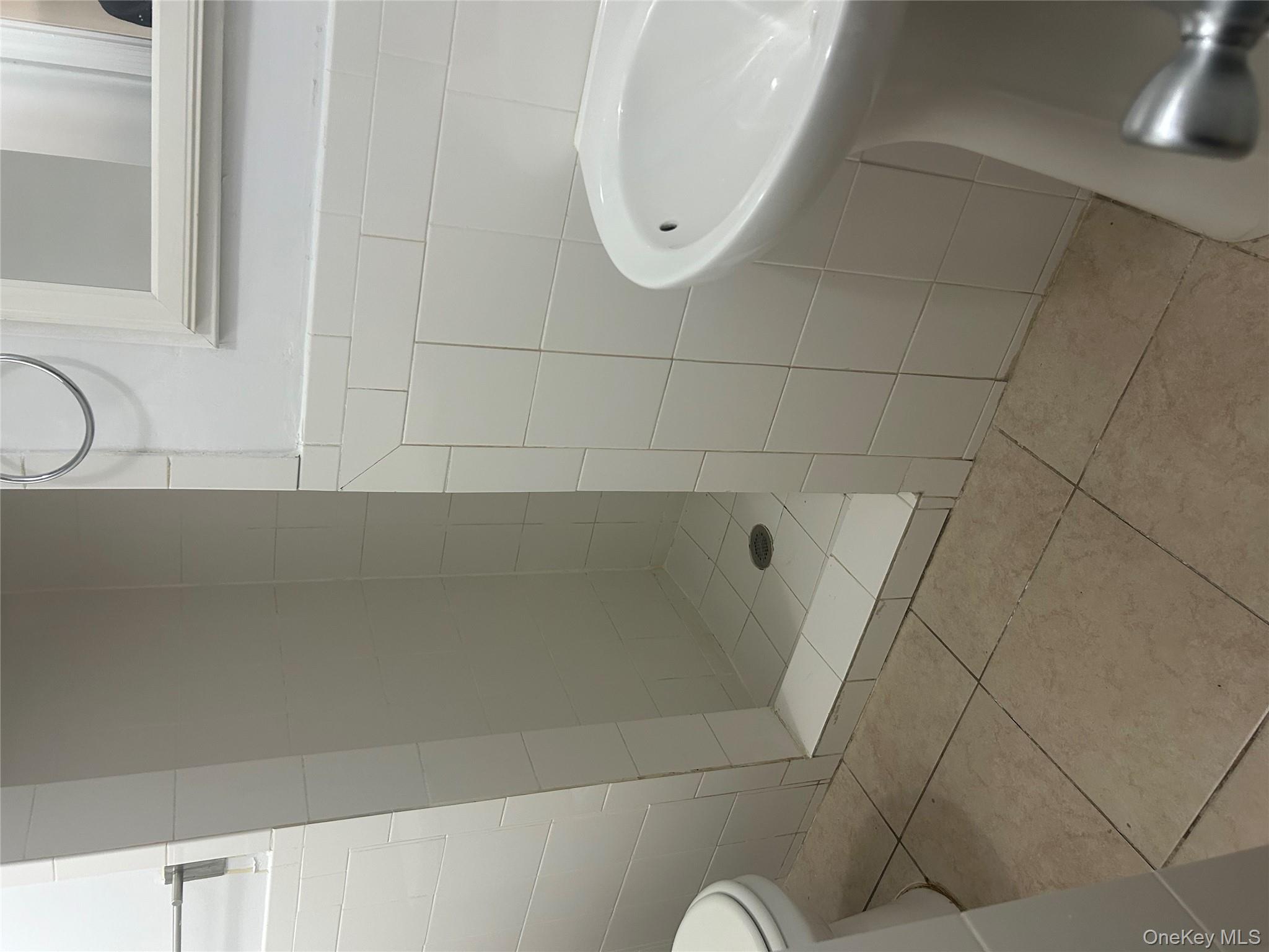 141 Sterling Avenue Yonkers, NY 10704 - Photo 13 of 23 a bathroom with a shower and toilet