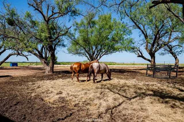 $159,900 | 10356 County Road 249, Avoca, TX 79503