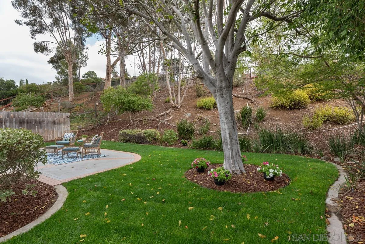 12515 Spindletop Road San Diego, CA 92129 - Photo 14 of 32 a view of a garden with large tree