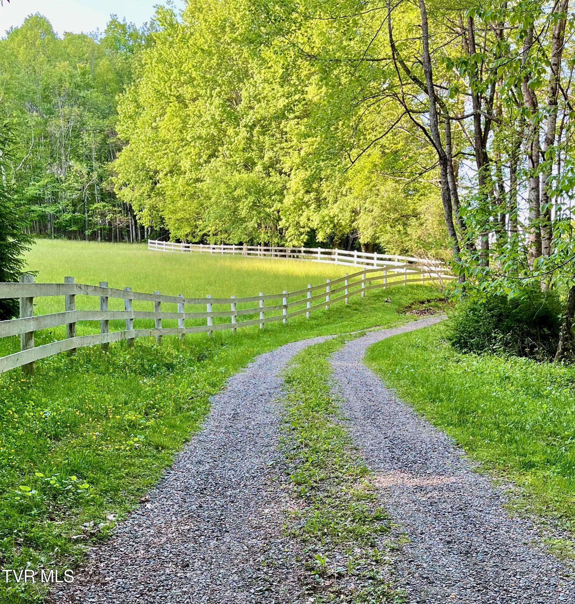 736 Ragan Road Trade, TN 37691 - Photo 38 of 40 IMG_5838