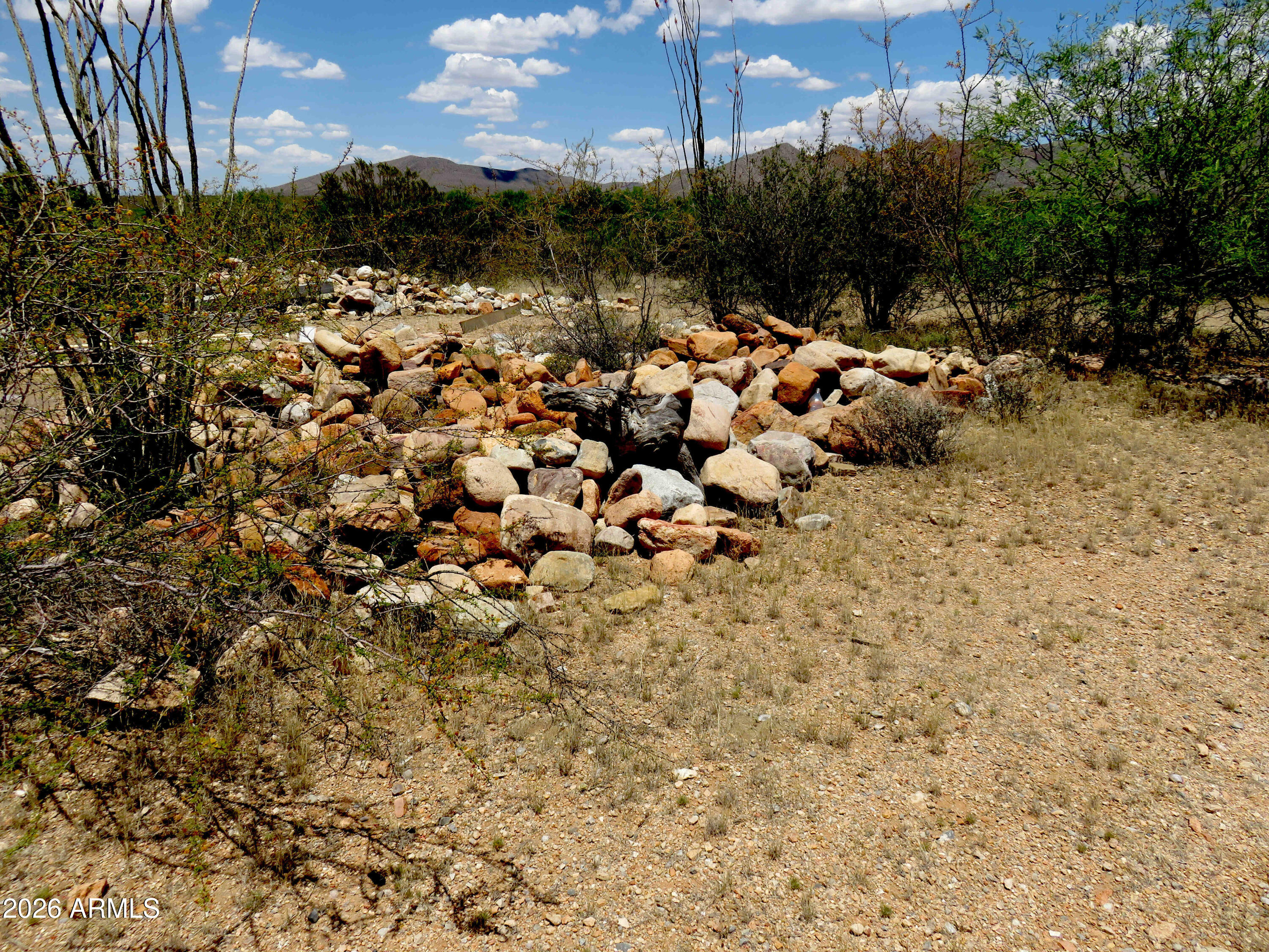 Tbd North Tulley Road Hereford, AZ 85615 - Photo 19 of 26