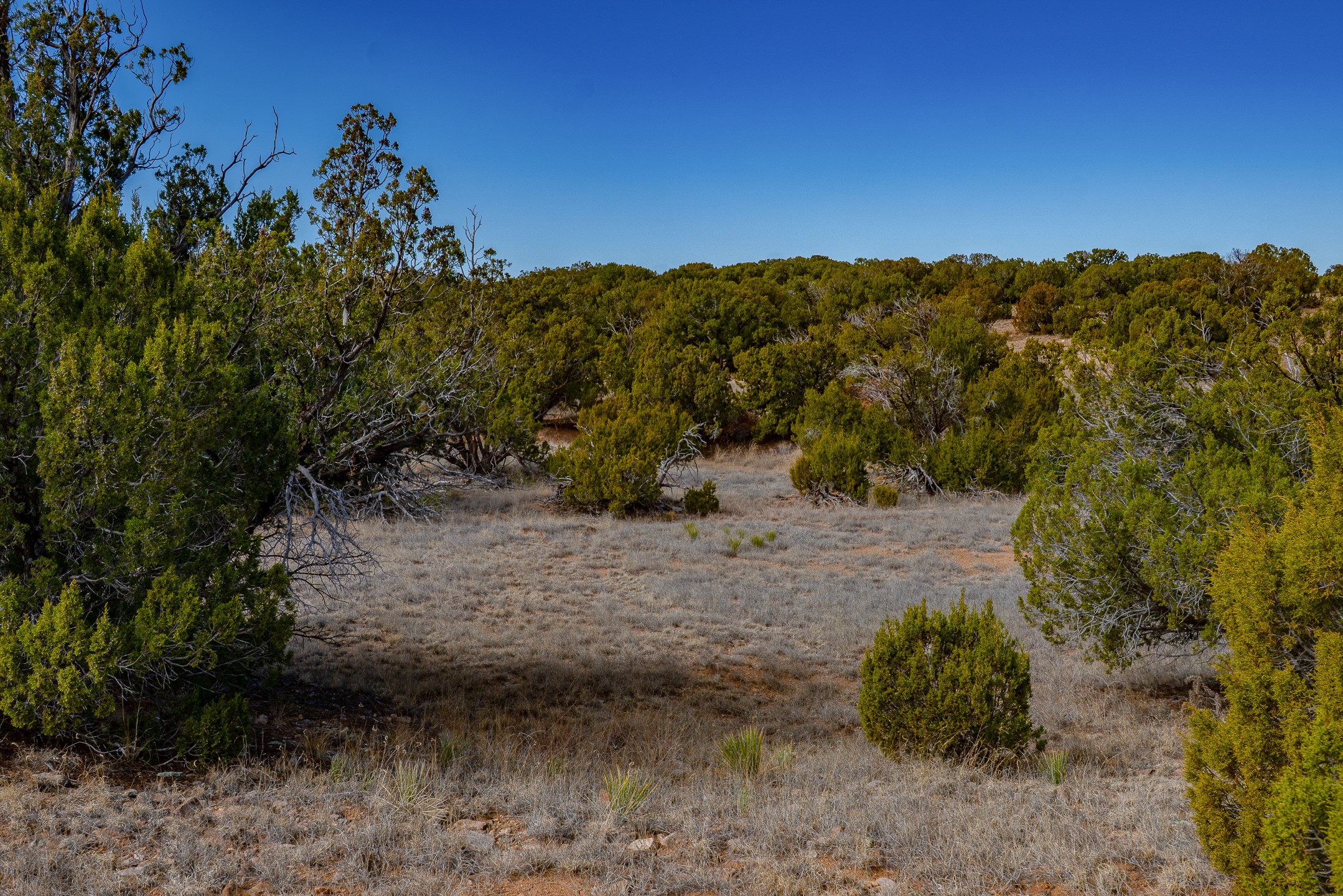 65 Grenfell Ranch Road Cerrillos, NM 87010 - Photo 25 of 46