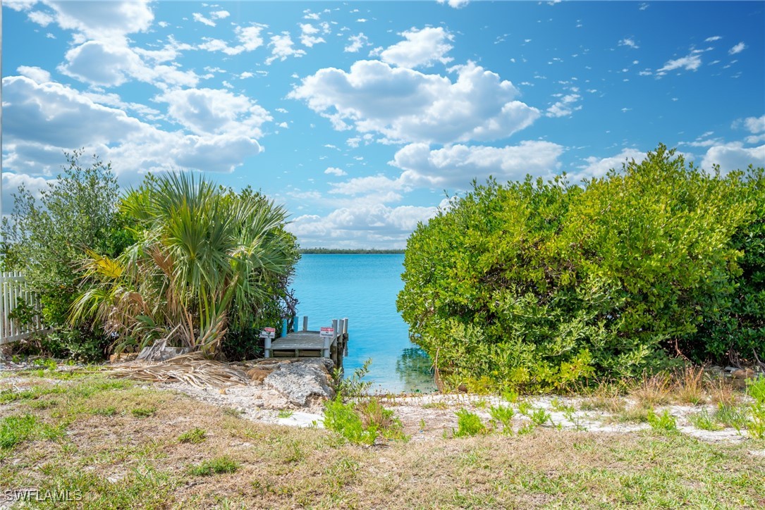 8151 Moyer Lane Bokeelia, FL 33922 - Photo 25 of 49 a view of a yard with plants