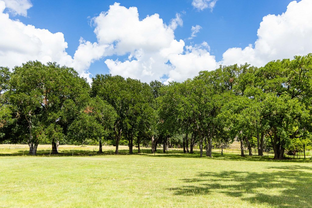 339 Henderson Branch Road West Ingram, TX 78025 - Photo 46 of 51